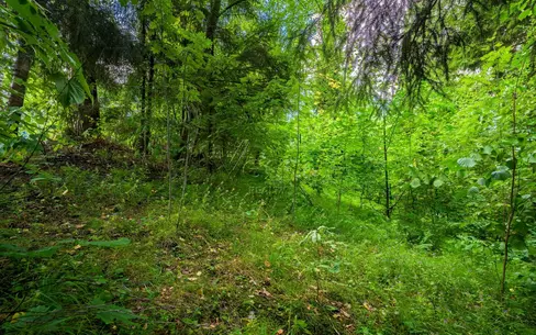 Участок 35 сот. в охраняемом поселке