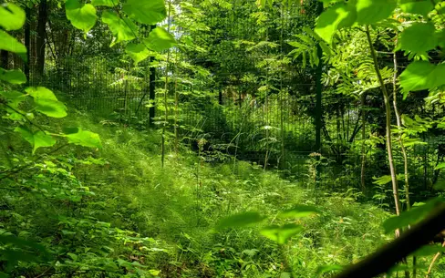 Участок 35 сот. в охраняемом поселке