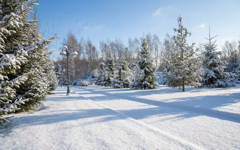 Участок 100 сот. в охраняемом поселке