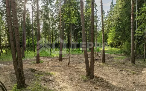 Участок 105 сот. в охраняемом поселке