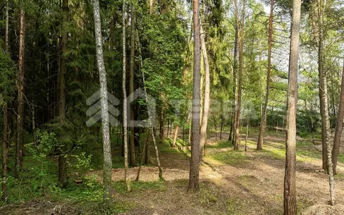 Участок 105 сот. в охраняемом поселке