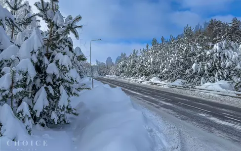 Участок 19.93 сот. в охраняемом поселке