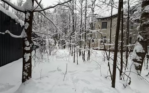 Участок 24 сот.