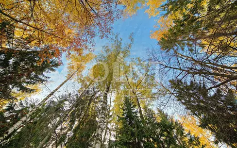 Участок 37.5 сот. в охраняемом поселке