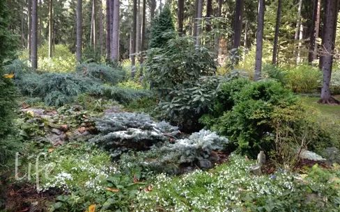 2-этажный коттедж 965 м² с отделкой