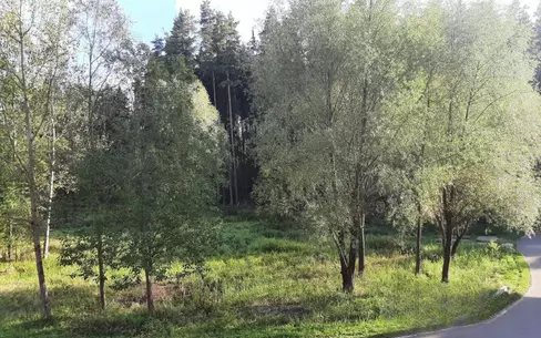 Участок 35 сот. в охраняемом поселке