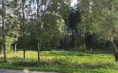 Участок 35 сот. в охраняемом поселке