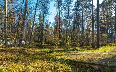 Участок 23.3 сот.