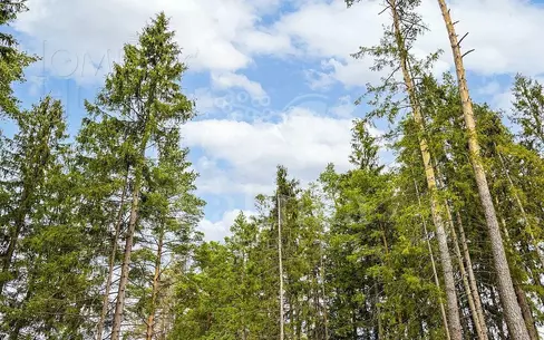 Участок 49 сот. в охраняемом поселке