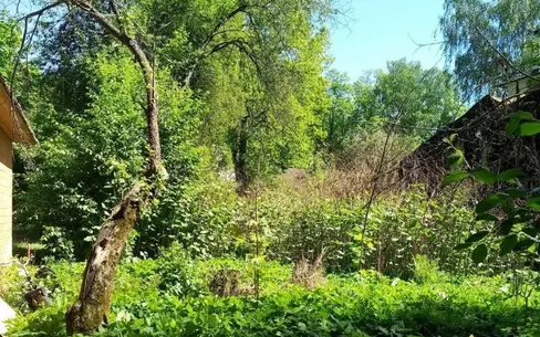 Участок 15 сот.