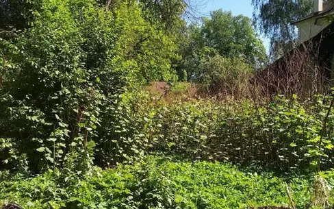 Участок 15 сот.