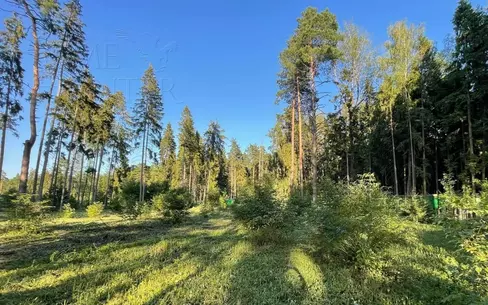 Участок 60 сот. в охраняемом поселке