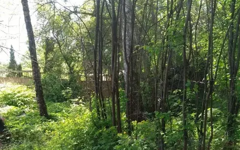 Участок 15 сот.