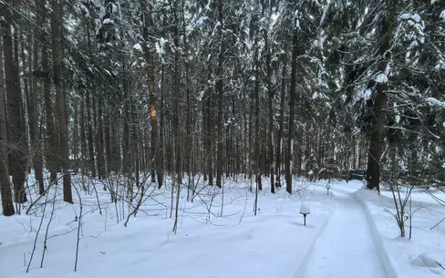 Участок 45 сот.