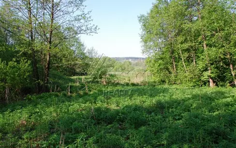 Участок 4 740 сот. в охраняемом поселке