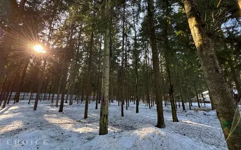 Участок 34.19 сот. в охраняемом поселке