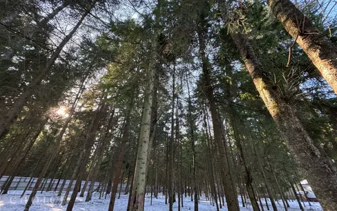 Участок 34.19 сот. в охраняемом поселке