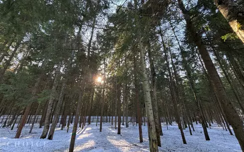 Участок 34.19 сот. в охраняемом поселке