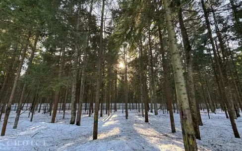 Участок 34.19 сот. в охраняемом поселке