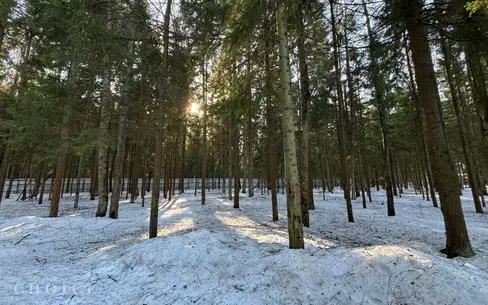 Участок 34.19 сот. в охраняемом поселке