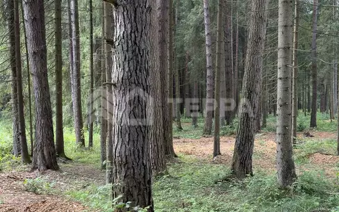 2-этажный коттедж 359 м² без отделки