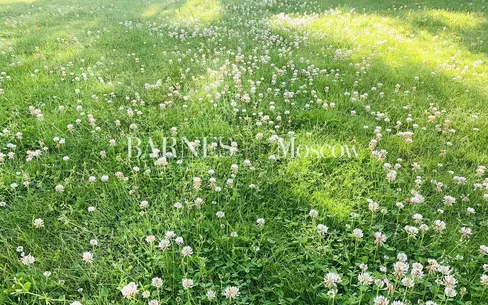 Участок 8.9 сот.