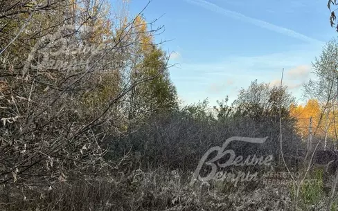 Участок 41.4 сот.