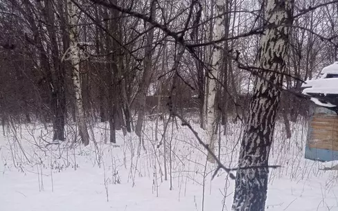 Участок 41.4 сот.