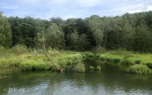 Участок 33.92 сот. в охраняемом поселке