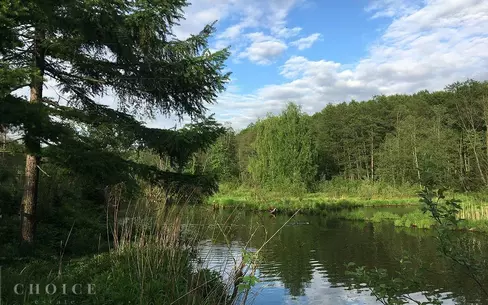 Участок 33.92 сот. в охраняемом поселке