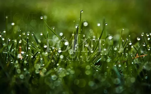 Участок 30 сот. в охраняемом поселке