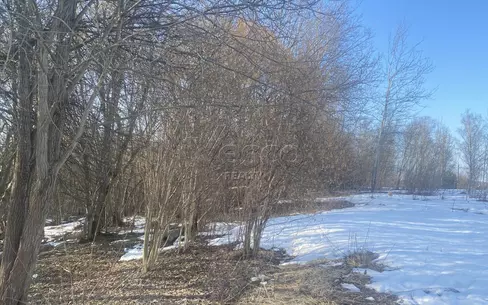 Участок 65 сот.