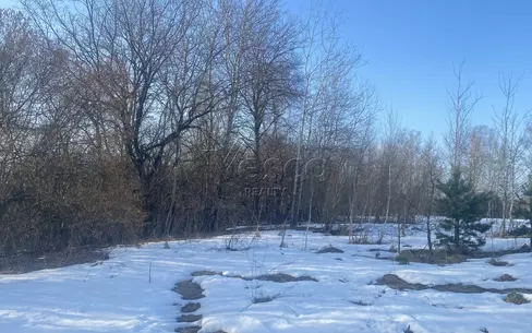 Участок 65 сот.