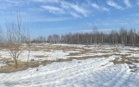 Участок 65 сот.