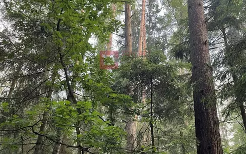 Участок 15 сот.