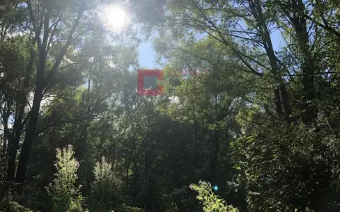 Участок 15 сот.