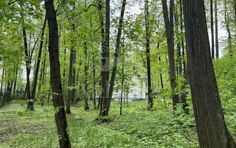 Участок 56 сот. в охраняемом поселке