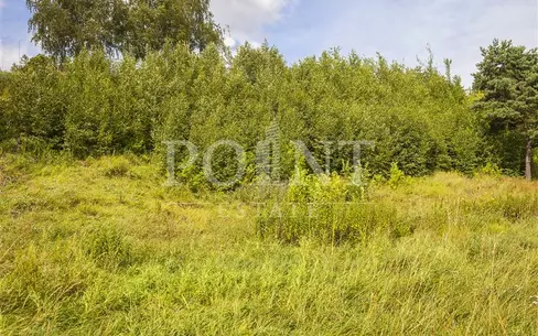 Участок 63 сот.