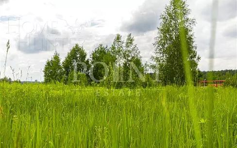 Участок 45 сот.