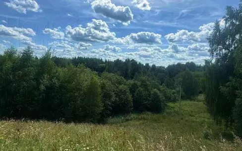 Участок 2 500 сот.