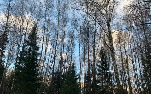 Участок 10 сот. в охраняемом поселке