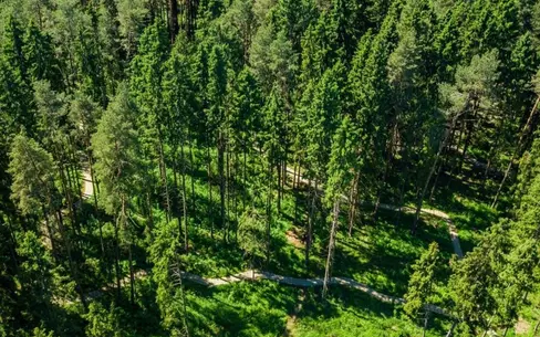 Участок 33 сот. в охраняемом поселке