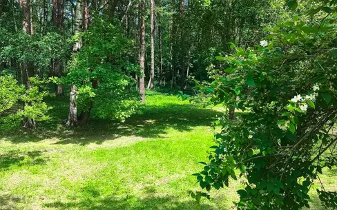 Участок 24 сот. в охраняемом поселке