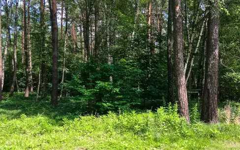 Участок 19.5 сот. в охраняемом поселке