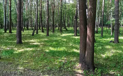 Участок 19.5 сот. в охраняемом поселке