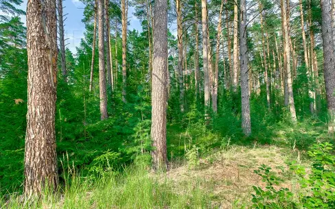 Участок 18 сот. в охраняемом поселке