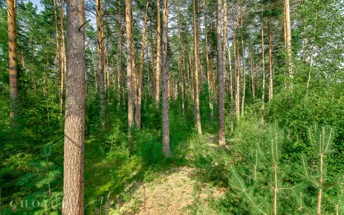 Участок 29 сот. в охраняемом поселке