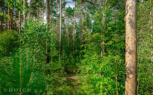 Участок 32.16 сот.