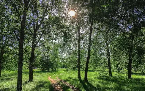 Участок 11.17 сот.