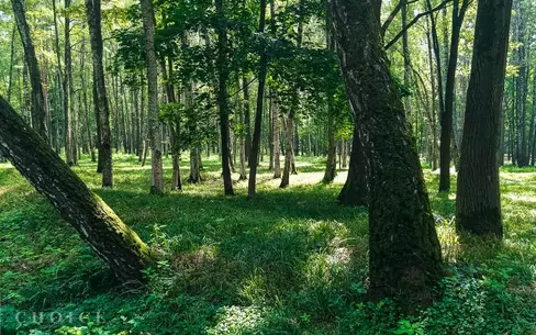 Участок 12.62 сот. в охраняемом поселке